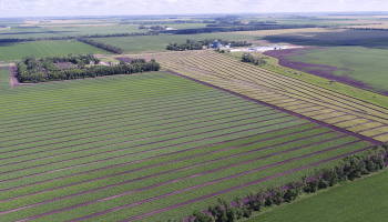 DJI_0077-1000x-sm