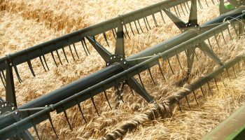 Ellingson.ND-3203-1000x-sm
